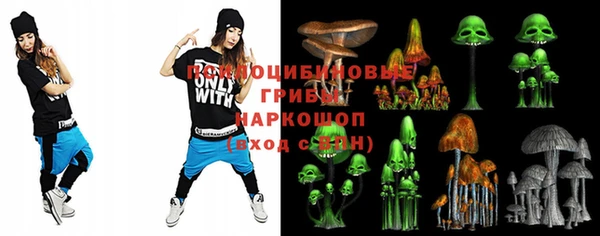 меф Арсеньев