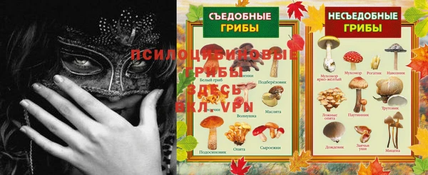 меф Арсеньев
