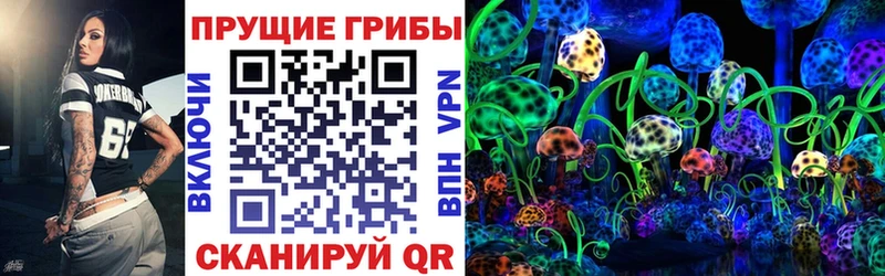 Галлюциногенные грибы GOLDEN TEACHER  закладки  Тихвин 